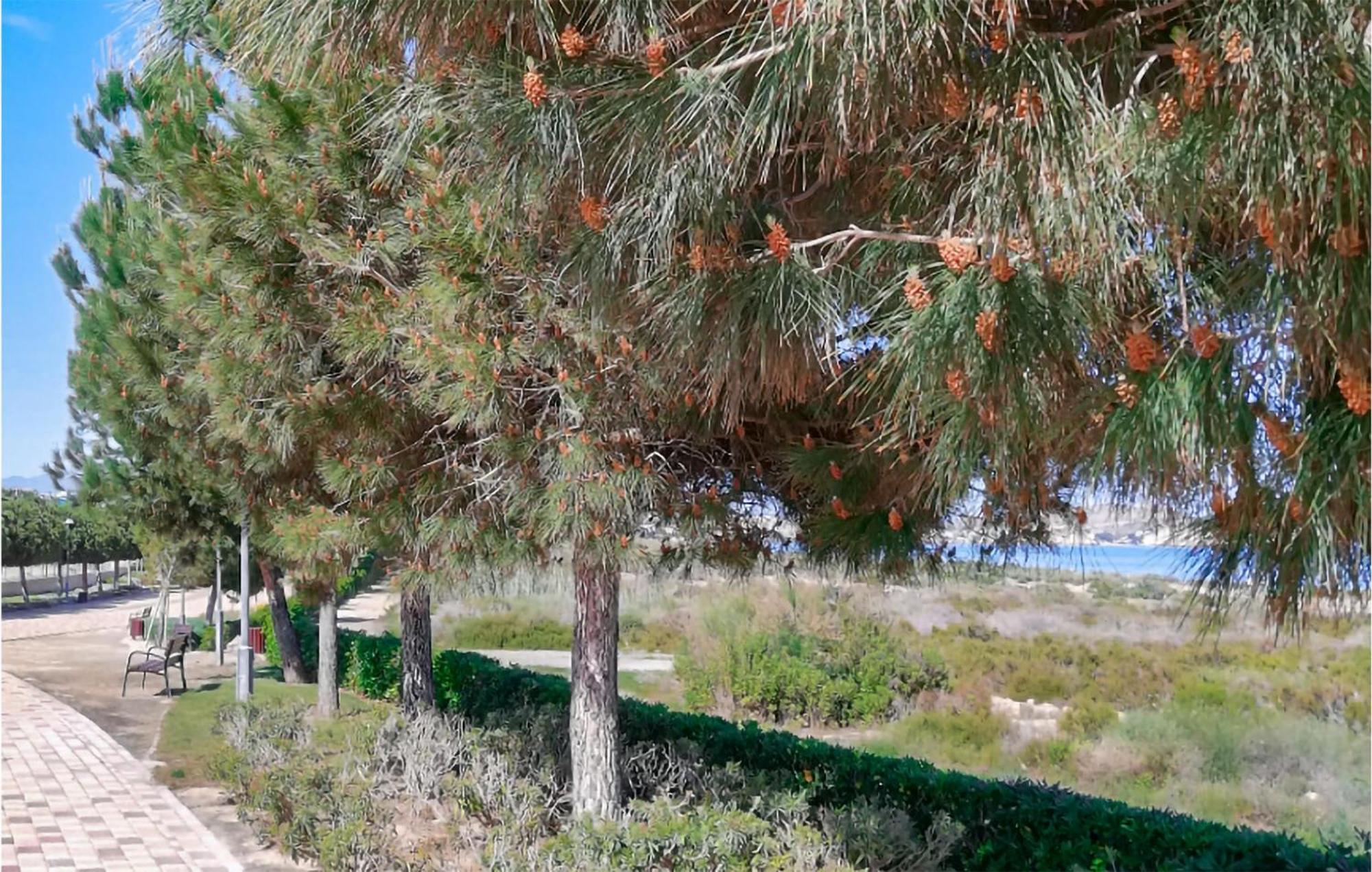 Amazing Apartment In San Juan De Los Terrer San Juan de los Terreros Exteriör bild